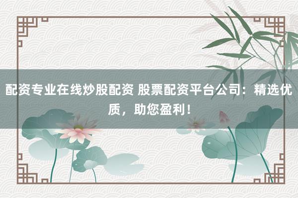配资专业在线炒股配资 股票配资平台公司：精选优质，助您盈利！