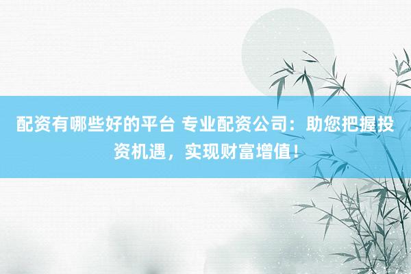 配资有哪些好的平台 专业配资公司：助您把握投资机遇，实现财富增值！