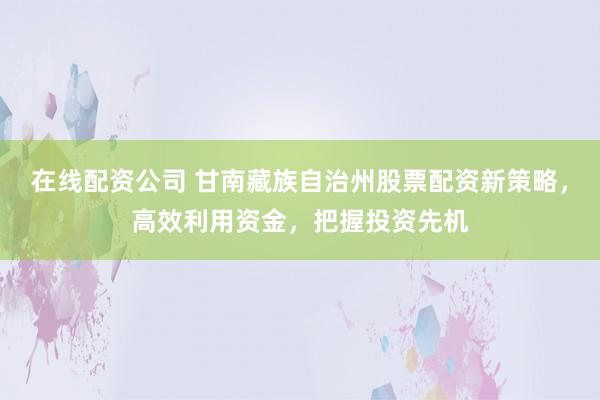 在线配资公司 甘南藏族自治州股票配资新策略,高效利用资金,把握投资先机