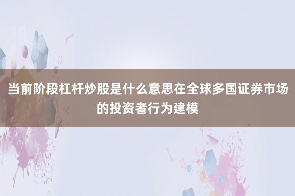 当前阶段杠杆炒股是什么意思在全球多国证券市场的投资者行为建模