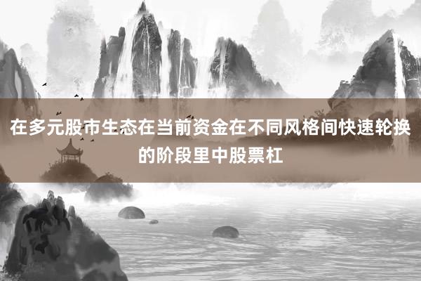在多元股市生态在当前资金在不同风格间快速轮换的阶段里中股票杠