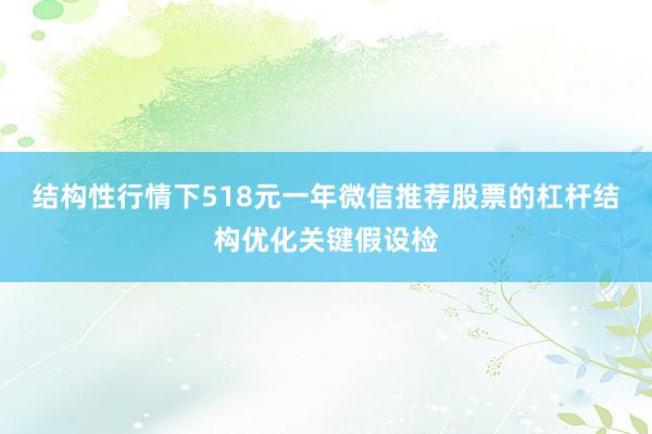 结构性行情下518元一年微信推荐股票的杠杆结构优化关键假设检