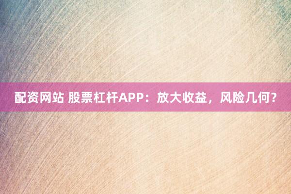 配资网站 股票杠杆APP:放大收益,风险几何?